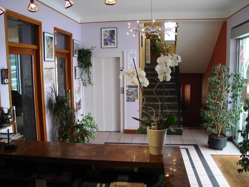 Hotel Beausejour Chaudes-Aigues Ngoại thất bức ảnh